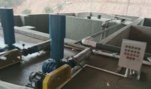 湖南株洲100噸/天養殖污水安